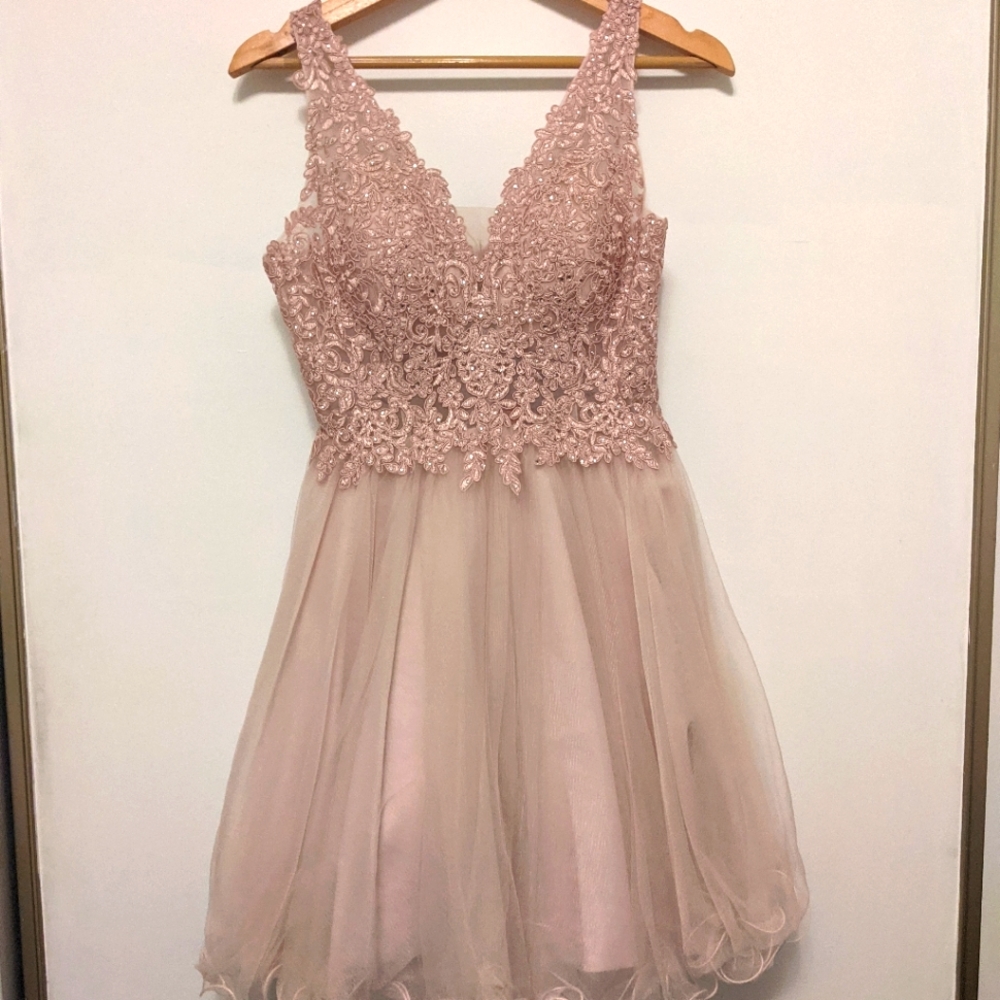 Pink Winter Formal Dress
